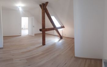 Podkrovní byt 3+1 po rekonstrukci se zahrádkou (foto 6)