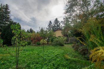 Pozemek se zahradním domkem (foto 22)