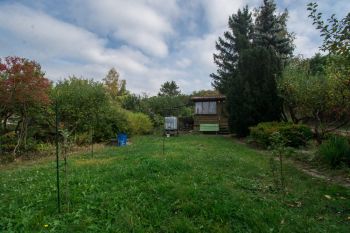Pozemek se zahradním domkem (foto 5)